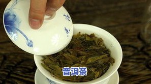 普洱茶早期古代叫什么茶？探寻其历史名称与分类