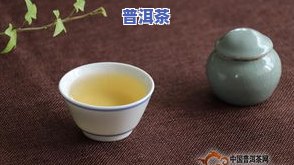 普洱茶早期古代叫什么茶？探寻其历史名称与分类