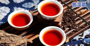 普洱茶早期-普洱茶早期中期晚期茶时间段