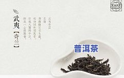 庐山普洱茶饼价格表和图片全览：正宗、口味独特