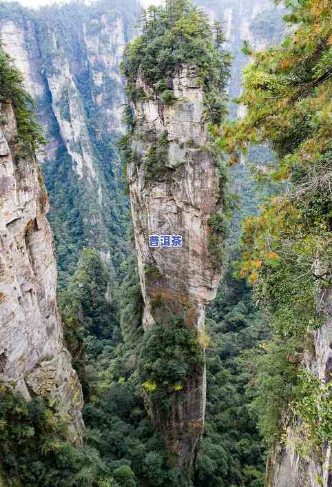 普洱天门山：揭示神秘山头及其景点，深度解析天门山普洱生茶