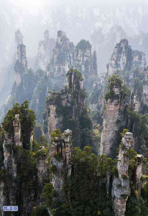 普洱天门山：揭示神秘山头及其景点，深度解析天门山普洱生茶