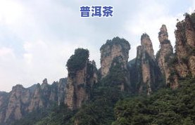 普洱茶天门山图片价格-普洱茶 天门山