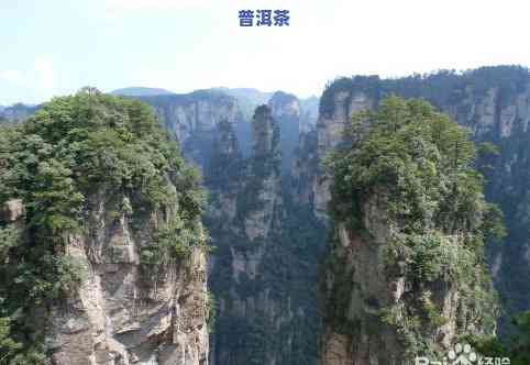 普洱茶天门山图片价格-普洱茶 天门山