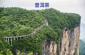 普洱茶天门山图片价格-普洱茶 天门山