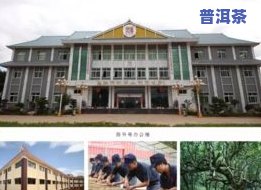 荣鑫普洱茶厂：永梅山官网地址及产品介绍