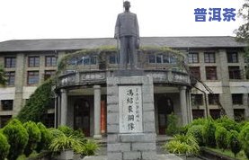 云南永顺茶厂：官网、地址及产品介绍