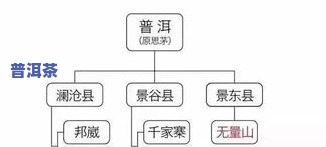 普洱茶的源头：揭秘其产地与供应链联盟