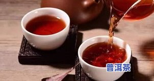 普洱茶祖先-普洱茶的祖先