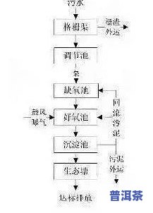 普洱茶厌氧发酵：条件、过程与转化解析