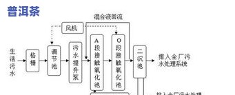 普洱茶厌氧发酵：条件、过程与转化解析