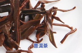 小方块普洱茶的正确泡法：一次泡一块吗？如何冲泡及图片展示