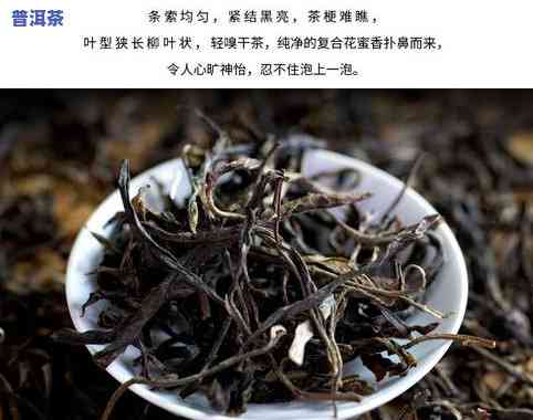 2017年大雪山普洱生茶价格全解析：古树茶与357克装价格对比