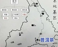 普洱茶大雪山：特点、产区与价格全解析