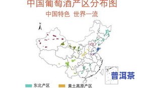 普洱茶大雪山：特点、产区与价格全解析