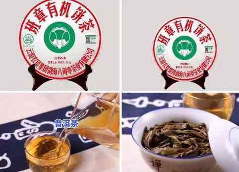 大树青饼普洱茶价格全揭秘：最新价格、图片一网打尽！