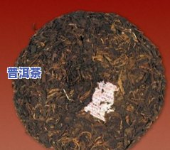 脾虚湿困女性适合饮用普洱茶吗？