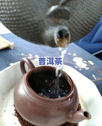 普洱茶牌号-普洱茶哪个编号好