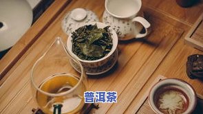 一块块的茶叶要怎么泡？茶叶种类与冲泡方法全解析！