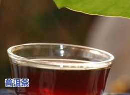 普洱茶代替绿茶的功效：全面解析普洱茶的独特作用与绿茶有何不同？