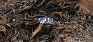 普洱茶棉絮状：特有品质特征与形成原因解析