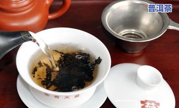 茶窝网大益普洱茶价格全览：最新市场行情与云南茶窝子茶价对比