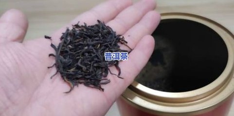 放久了的茶叶还能喝吗？有吗？起因解析