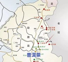 沧源县普洱茶：品种、产地及特点全面解析