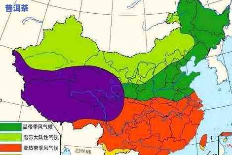 沧源县普洱茶：品种、产地及特点全面解析