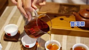 亿丰兆普洱茶：探寻历史痕迹的老茶砖