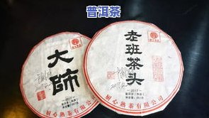 训刚普洱茶：新手入门必备宝典，从初级到深入全面解析普洱茶知识