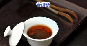 博导普洱茶-普洱茶博士