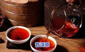 普洱茶制作需蒸茶工艺：目的、方法与视频教程全解析