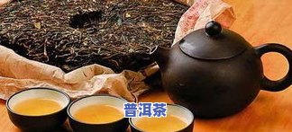 普洱茶年岁长的好吗？是的，但并非所有的老茶都适合饮用。