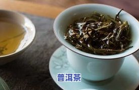 过期茶叶的处理与妙用：如何变废为宝？