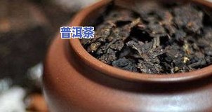 普洱茶一次泡一个茶饼可以吗？用量、时间和次数都有哪些规定？