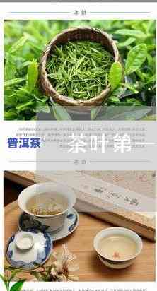 过期的茶叶怎么解决-过期的茶叶怎么解决好