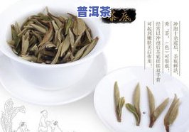 茶叶泡完后的清洗方法与再利用全解