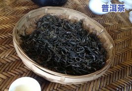 哪个冰岛普洱茶好？知名的口感与品质比较