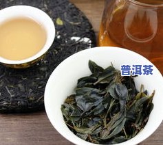 娟子普洱茶-紫娟普洱