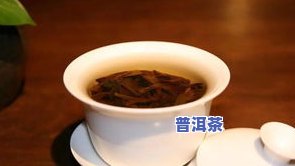 艺苑普洱茶-艺馨坊普洱茶