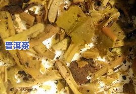 最新普洱茶菩提根价格表图片大全，一图看懂全品种价格！