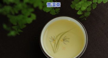 普洱茶菩提根价格表图片高清：全网最全的大图大全，详解怎样泡制热茶或凉茶