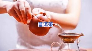 普洱茶泡菩提根：热茶好还是凉茶好？作用与变化时间