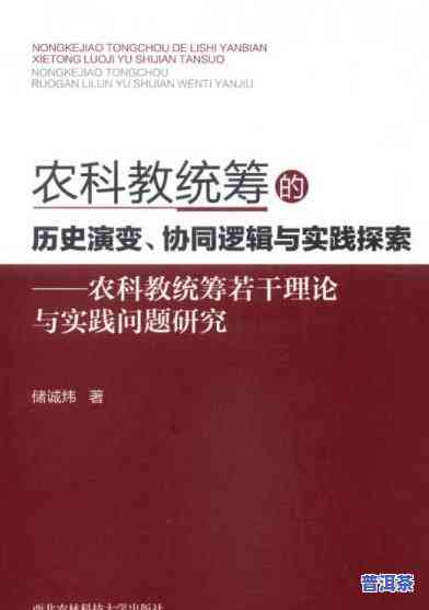 深入探究普洱茶理论：详细论述、实践经验与核心理念