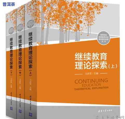 深入探究普洱茶理论：详细论述、实践经验与核心理念