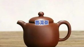 普洱茶量：如何准确计算与紫砂壶容量的比例？