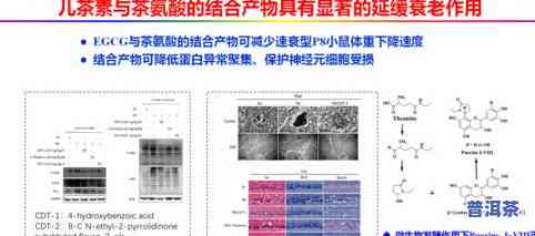 茶叶有降火功效？用户分享经验与科学解析