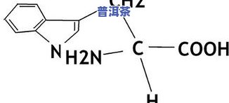 茶叶有降火功效？用户分享经验与科学解析