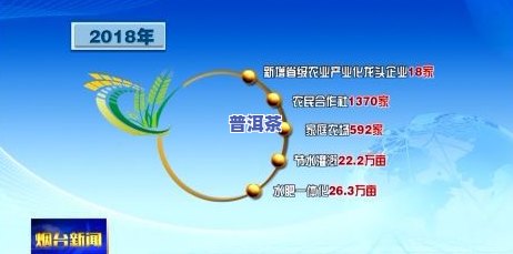 普洱茶业新闻：最新消息、报道与联播